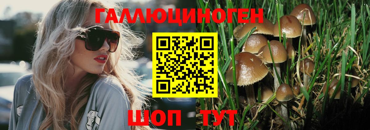 Люберцы  Галлюциногенные грибы Magic Shrooms  Галлюциногенные грибы Magic Shrooms  Вход с VPN 